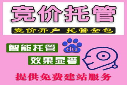 某科技公司如何通过信息流托管实现增长